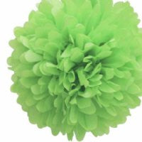 Tissue Poms 38cm - Green